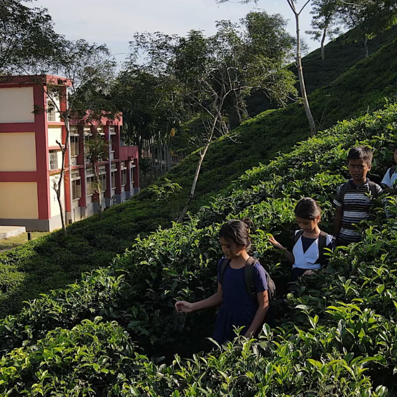 Children in Sylhet on their way to school. Credit: World Bank/Salman Saeed